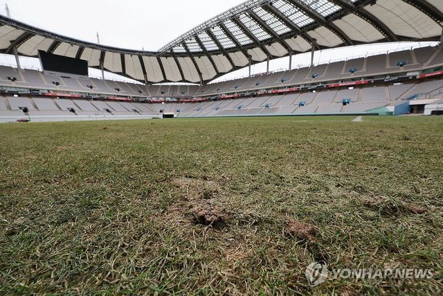 고르지 못한 잔디