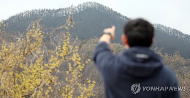 화마가 할퀸 봄 상처