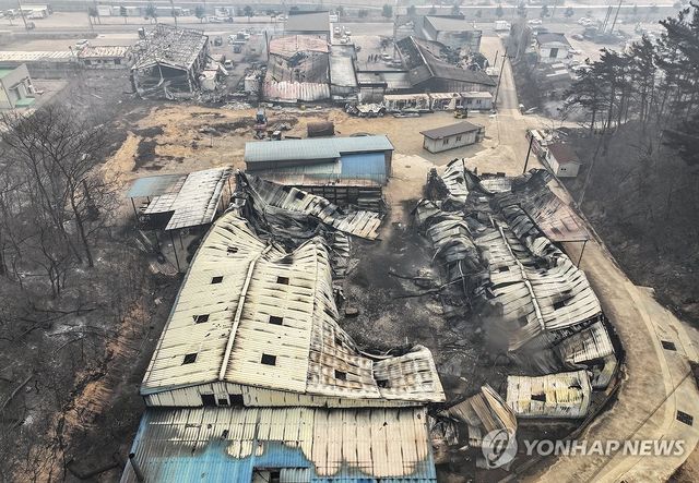 산불에 폭격 맞은 영덕