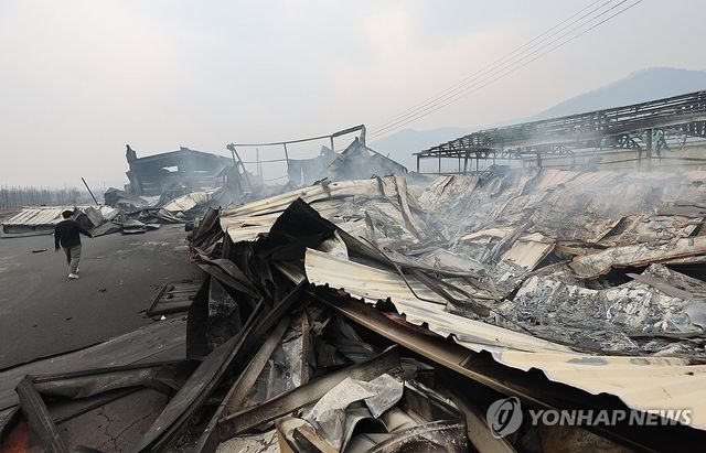 안동 휩쓴 산불