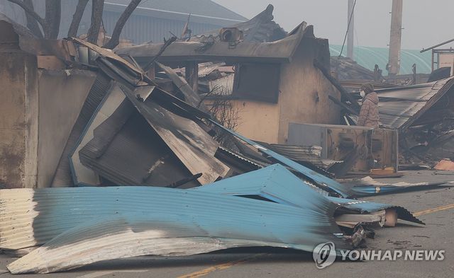 산불 폐허 살펴보는 주민