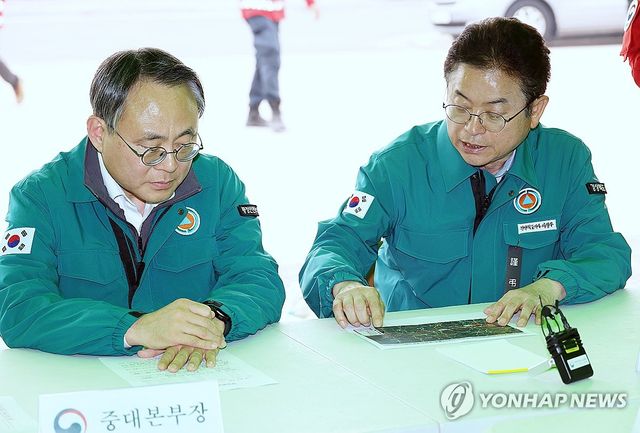 산불 진화상황 점검하는 고기동 차관