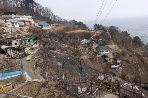 영덕군 영덕읍 석리 산불 피해 현장