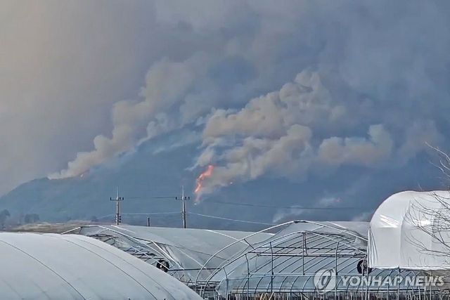 산청 산불 현장