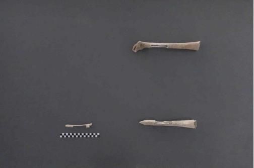 김석연 일병의 유해