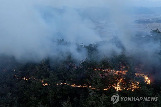 여전히 번지는 산불