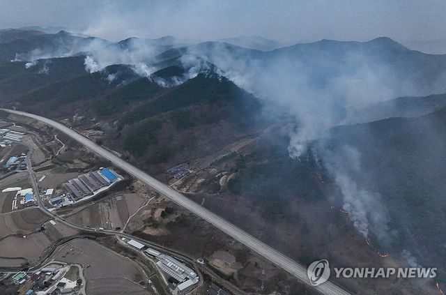 고속도로 따라 길게 이어진 불길