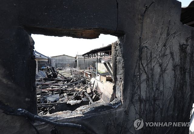 산불이 만든 폐허