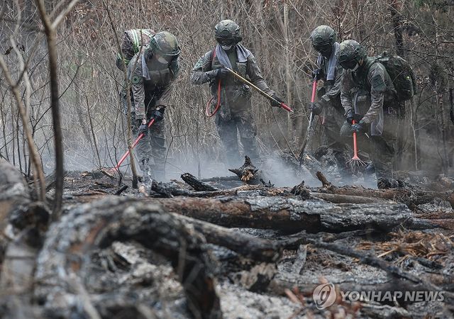 '괴물 산불' 다시 살아나지 않게…군장병 잔불 진화 작전