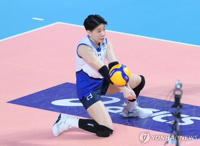 현대건설 아시아 쿼터 선수 위파위