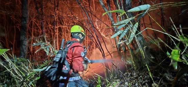 '1호 국립공원' 지리산 불길 잡는 진화대원