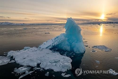 북극 얼음