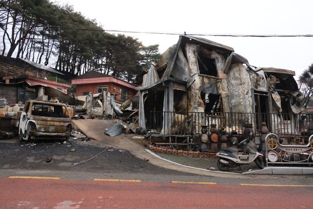 산불로 탄 집과 차