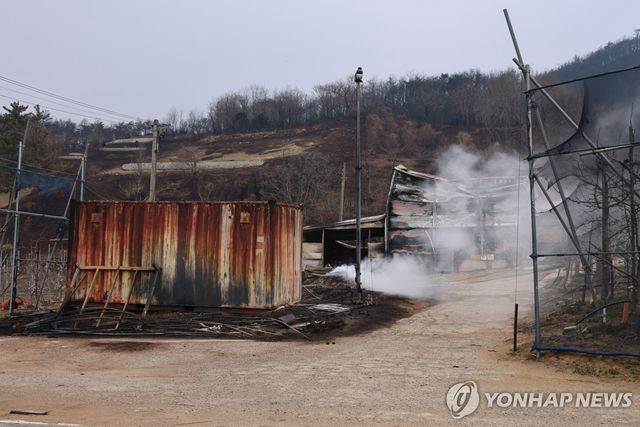 영덕군 지품면 산불 피해지에서 피어오르는 연기