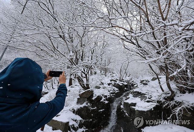 대관령 설경 담는 관광객