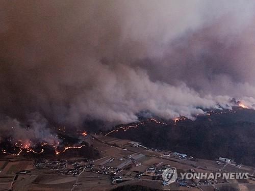 안동으로 퍼진 산불