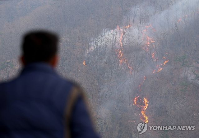 번지는 산불