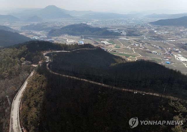 28일 5시 기준 경북 청송 산불 진화율 89%