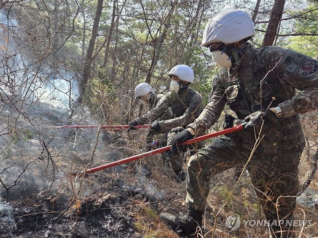 육군 50사단, 산불 진화 지원