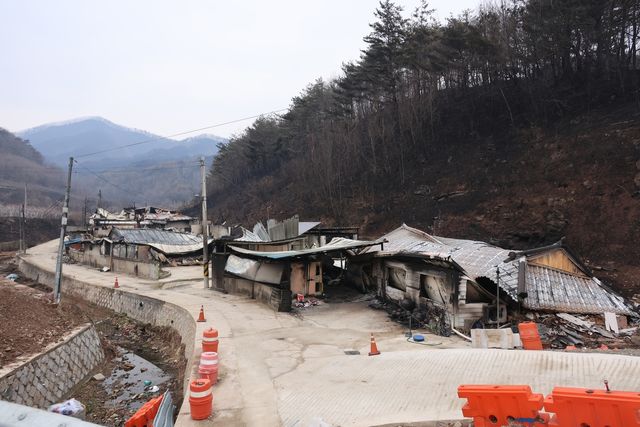 영덕군 지품면 산불 피해 주택