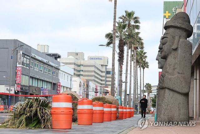 퇴출되는 '남국의 상징' 제주 야자수