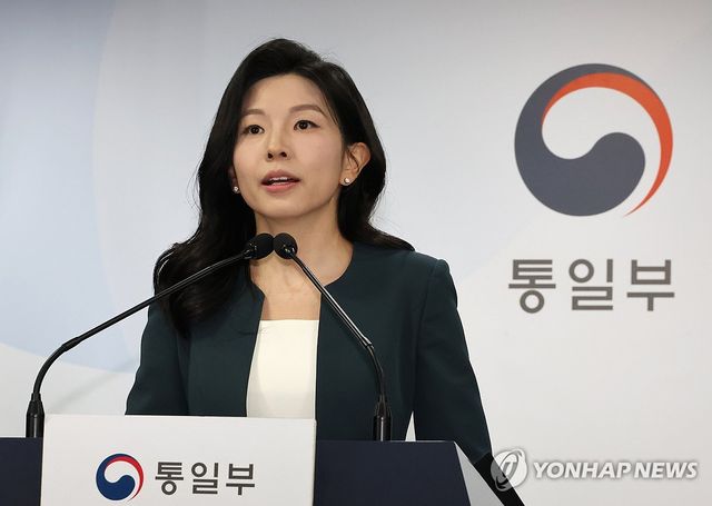 정례브리핑하는 김인애 통일부 부대변인