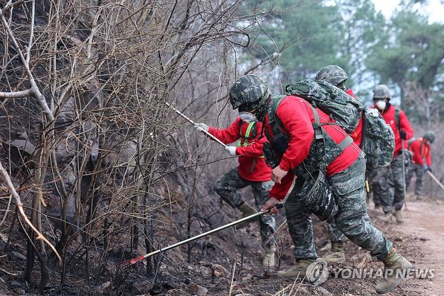 산불 진화 작전에 투입된 해병대
