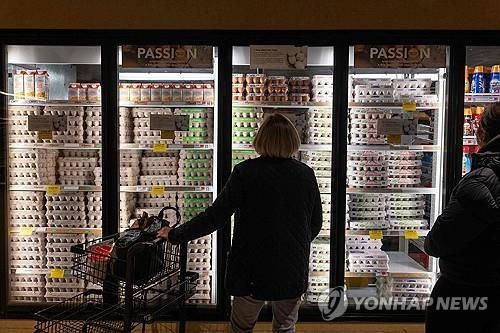 미 뉴욕시 한 식료품점 계란 진열대