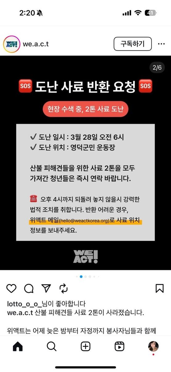 동물구조단체 소셜미디어글