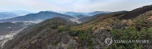 '역대 최악 산불' 최초 발화 지점에서 바라본 피해 상황