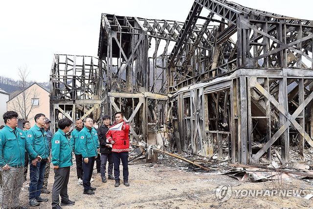 산불피해 지역 현장점검