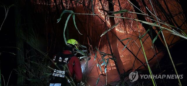 야간 진화 작업