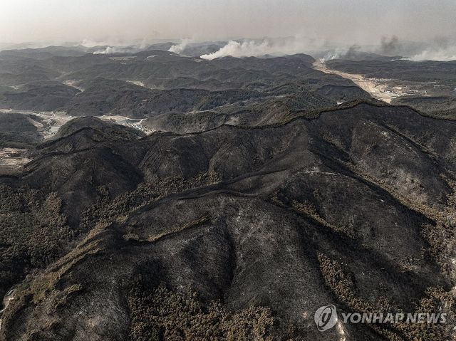 끝없이 폐허로 변한 산림, 한없이 번져가는 산불