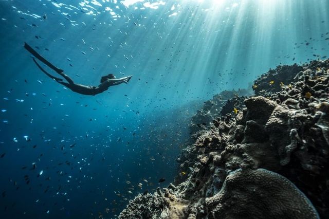 프리다이버 김정선