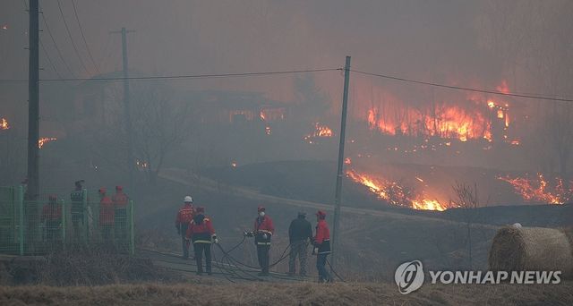 지난 24일 경북 의성 산불