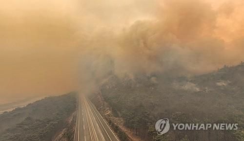 산불로 통제된 고속도로
