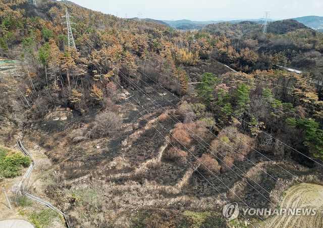 검게 변한 야산