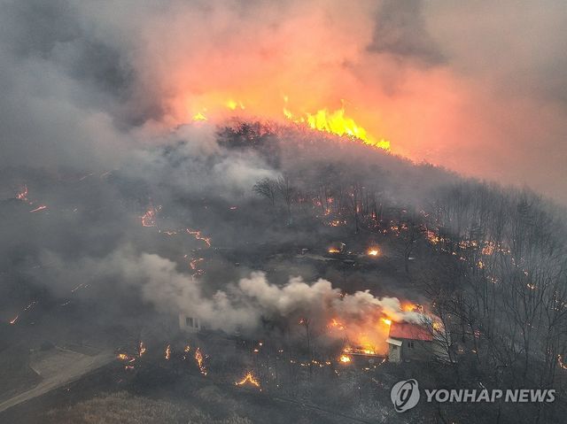 '의성 산불' 민가에서 치솟는 불기둥