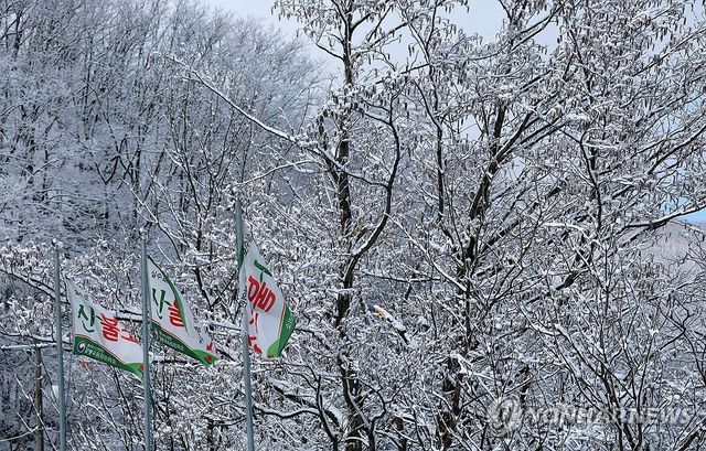 산불 우려 덜어준 봄 눈