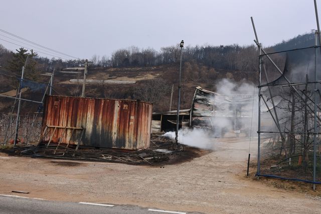 영덕군 지품면 산불 피해지에서 피어오르는 연기