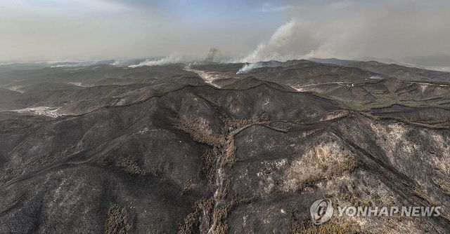 의성 산불로 폐허로 변한 산림