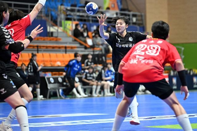 29일 SK와 경기에서 공격을 시도하는 경남개발공사 김연우.