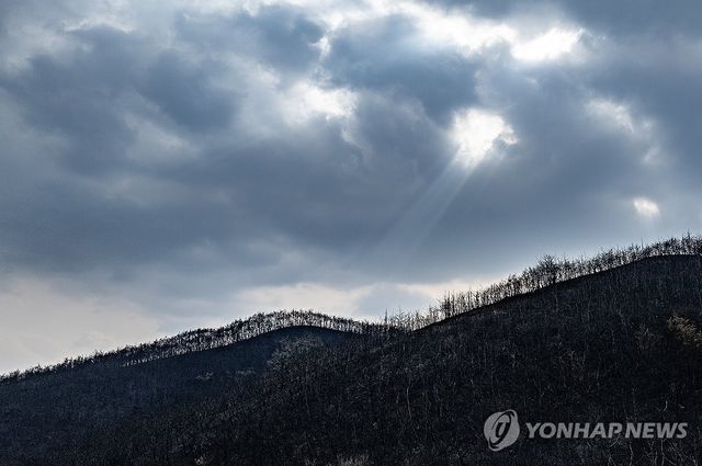 경북 산불 '진화 완료'…폐허 된 산림 비추는 햇살