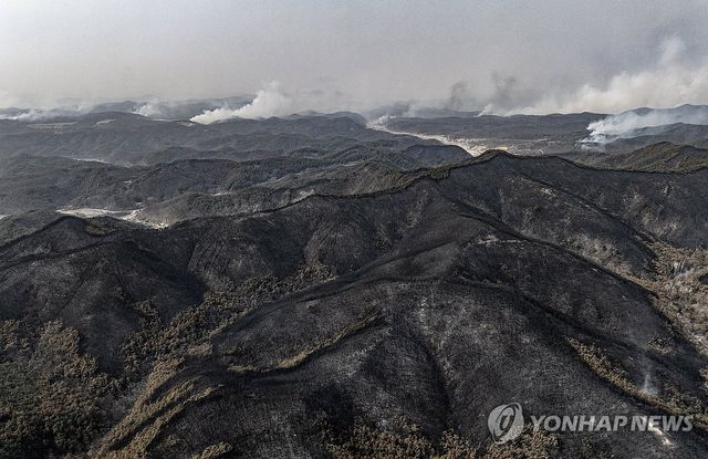 끝없이 폐허로 변한 산림, 한없이 번져가는 산불