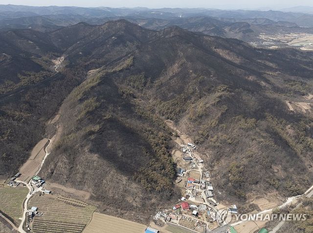산불에 초토화된 안동·의성