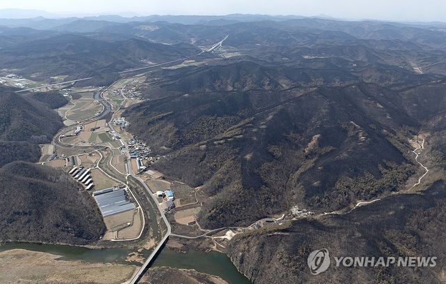 산불에 초토화된 안동·의성