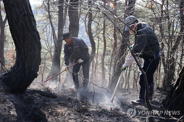 '산불 되살아 나지 않게'