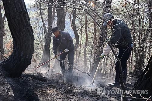 '산불 되살아 나지 않게'