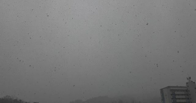 [독자 제공. 재판매 및 DB 금지]