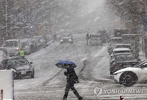 대전 시내에 쏟아지는 함박눈